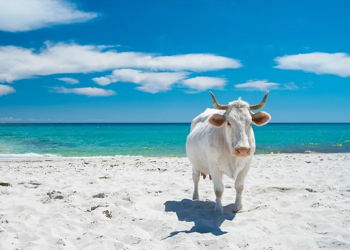 Villino Molara A Vakantiehuis *