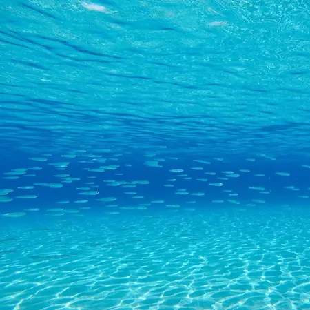 Villino Molara A Holiday home *