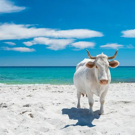 Villino Molara A Holiday home *