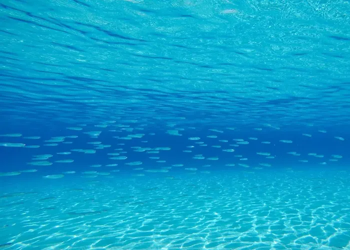 Villino Molara A Nyaraló *